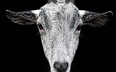 Unidos contra Satanás