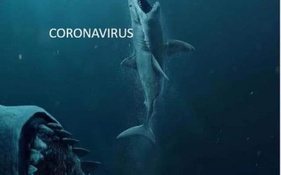 Coronavirus: experiencia piloto